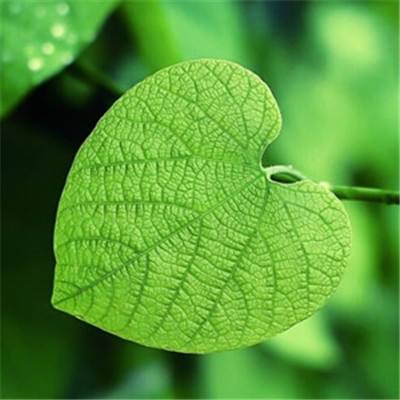 半岛·综合体育app下载